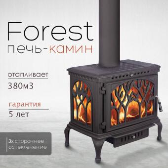 Чугунная печь Forest  в Казани