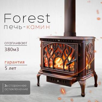 Чугунная печь Forest Bronze в Казани