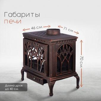 Чугунная печь Forest Bronze в Казани